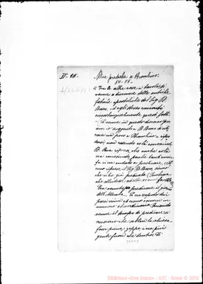 Fotogramma D 9
