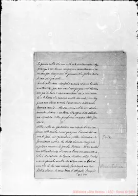 Fotogramma D 11