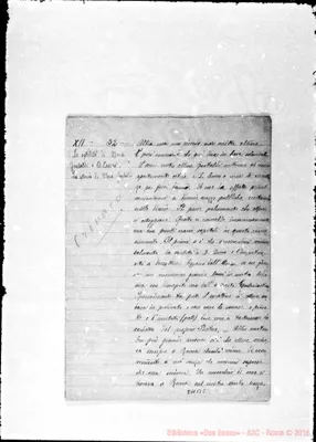 Fotogramma B 2