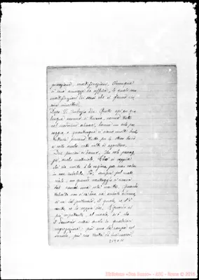 Fotogramma D 11
