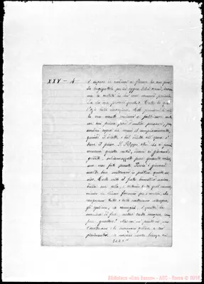 Fotogramma C 11