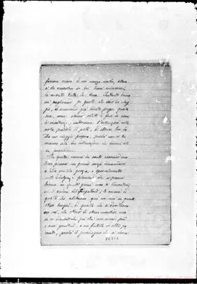 Fotogramma C 2