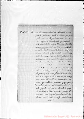 Fotogramma B 1