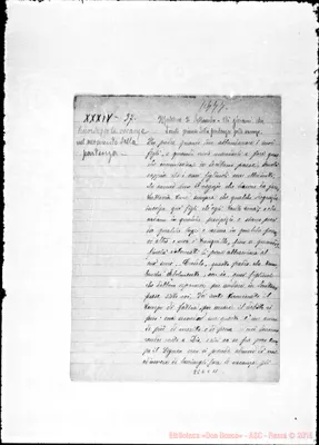 Fotogramma C 11