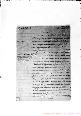 Fotogramma C 5