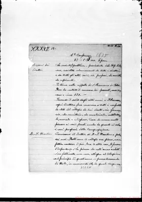 Fotogramma C 11