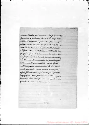Fotogramma D 10