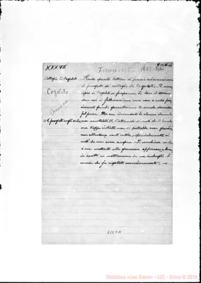 Fotogramma D 11
