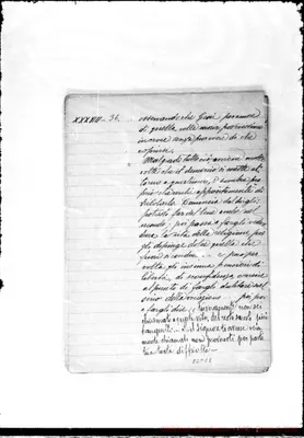 Fotogramma E 8
