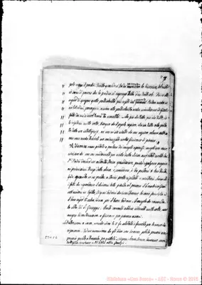 Fotogramma C 6