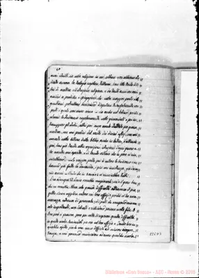 Fotogramma D 3