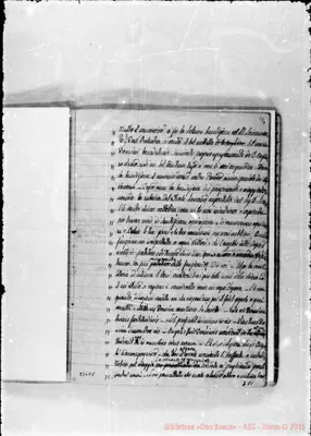 Fotogramma D 8