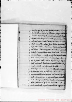 Fotogramma E 11