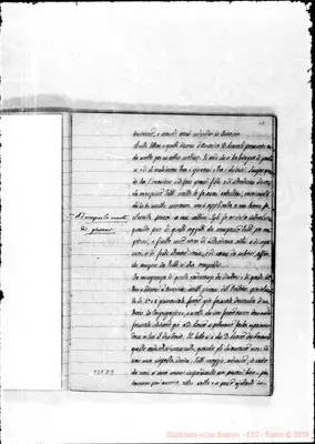 Fotogramma D 9