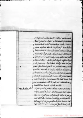 Fotogramma D 11