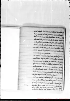 Fotogramma E 6
