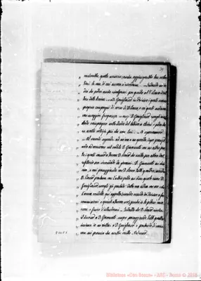 Fotogramma C 5