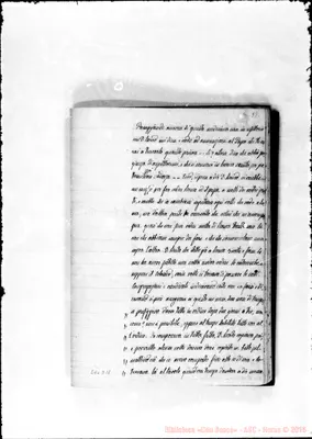 Fotogramma D 11