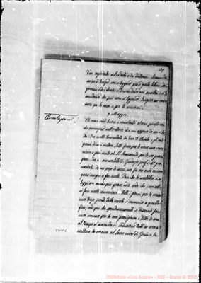 Fotogramma E 5