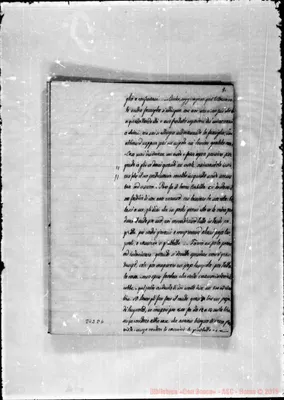 Fotogramma D 6