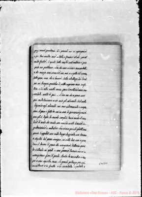 Fotogramma D 11