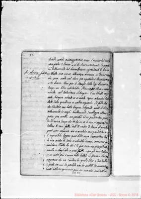 Fotogramma D 11