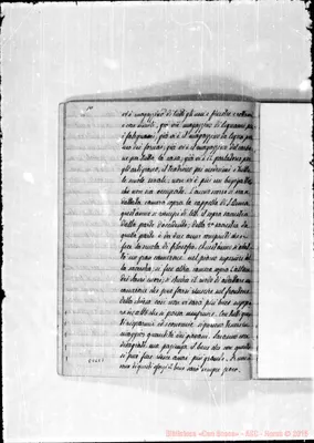 Fotogramma E 7