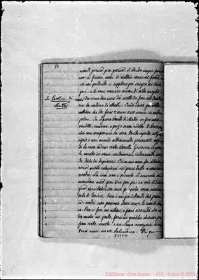 Fotogramma C 11