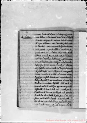 Fotogramma D 11