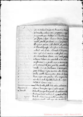 Fotogramma D 10