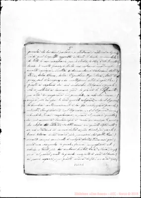 Fotogramma D 11