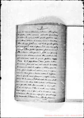 Fotogramma B 5