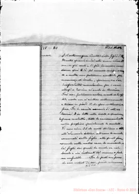 Fotogramma C 11