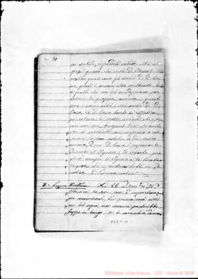 Fotogramma C 11