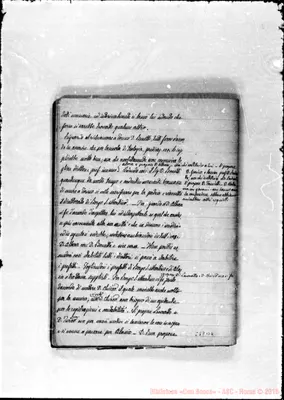 Fotogramma B 4