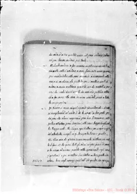 Fotogramma C 7