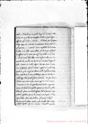 Fotogramma C 11