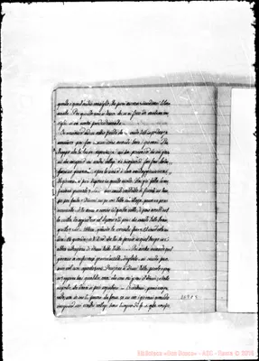 Fotogramma C 5
