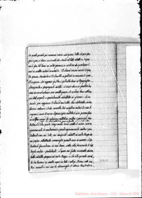 Fotogramma C 7