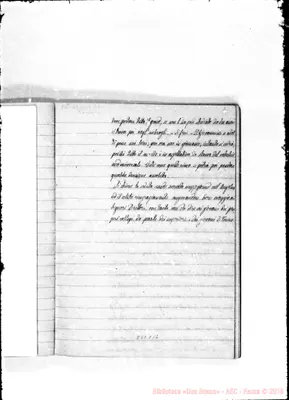 Fotogramma C 12