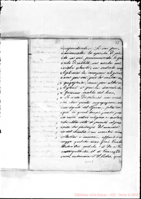 Fotogramma E 7