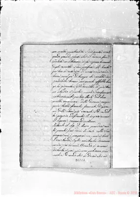 Fotogramma C 2
