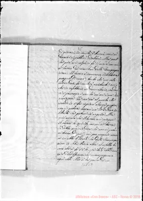Fotogramma C 7