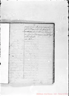 Fotogramma C 11