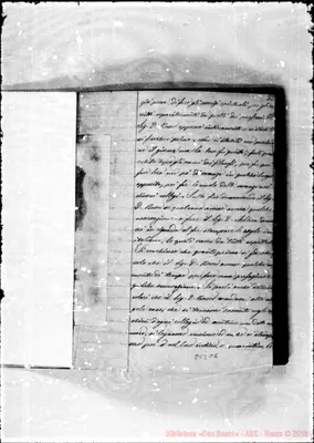 Fotogramma C 5