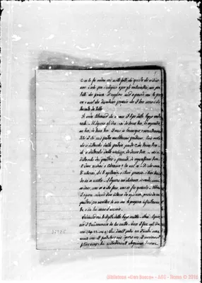 Fotogramma D 5