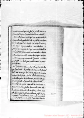 Fotogramma C 8