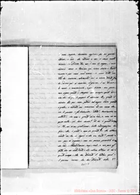 Fotogramma C 7