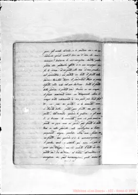 Fotogramma C 10