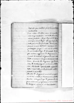 Fotogramma D 10